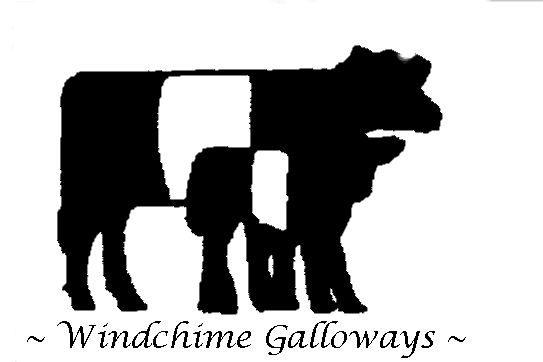 Windchime Galloways logo